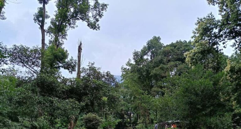 Garden & Botanical Sightseeing of Kathmandu Valley - Who Will Benefit Most?