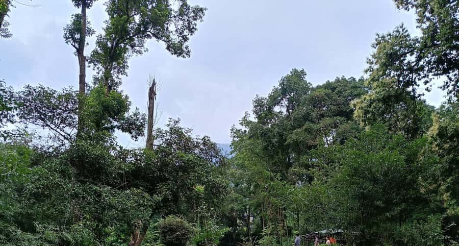 Garden & Botanical Sightseeing of Kathmandu Valley - What to Expect and Practical Tips