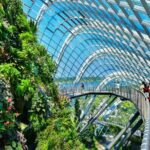 Garden By the Bay Singapore Admission Ticket - Practical Tips for Visitors