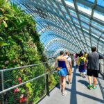 Garden By the Bay Singapore Admission Ticket - Who Is This Experience Best Suited For?