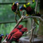 Garden & Parks Tour From Kuala Lumpur - A Closer Look at the Tour Itinerary