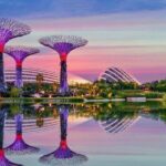 Gardens by the Bay E - Ticket with Flower Dome +CF Singapore - Visiting Tips and Practical Details