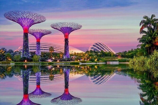 Gardens by the Bay E - Ticket with Flower Dome +CF Singapore - Visiting Tips and Practical Details