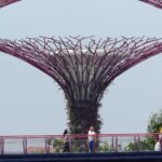 Gardens by the Bay Entry Ticket - Who Will Love This Experience?