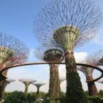 Gardens by the Bay Entry Ticket - Who Would Love This Tour?