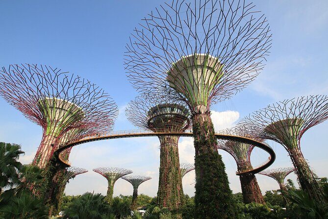 Gardens by the Bay Entry Ticket - Who Would Love This Tour?