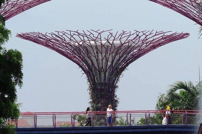 Gardens by the Bay Entry Ticket - Who Will Love This Experience?