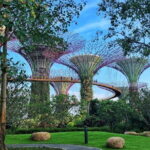 Gardens by the Bay Guided Tour - Why This Tour Is Worth Considering