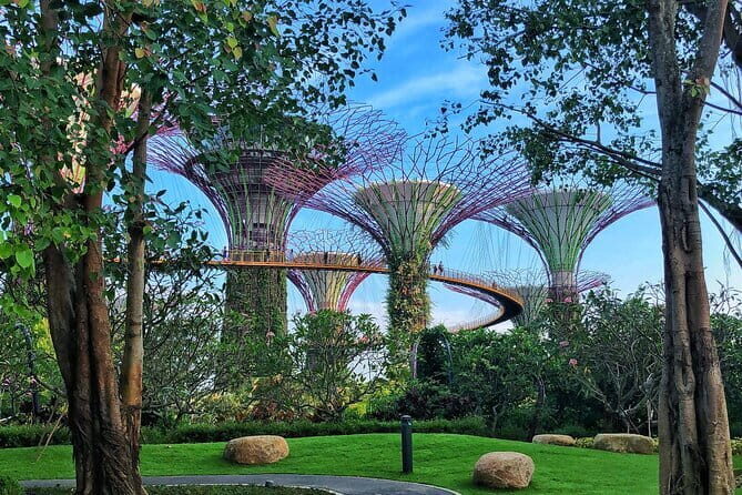 Gardens by the Bay Guided Tour - Why This Tour Is Worth Considering