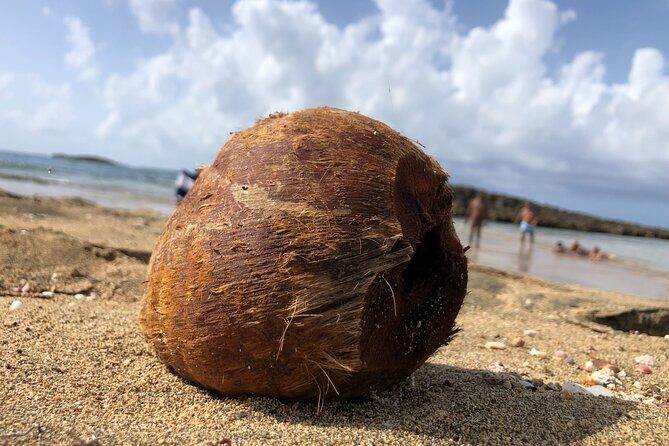 Gay Beach Adventure Queer Friendly Getaway in Puerto Rico Tour - FAQs