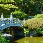 Geisha & Sumo Culture: Tokyo Walking Tour 3 Hrs - What We Loved About This Tour