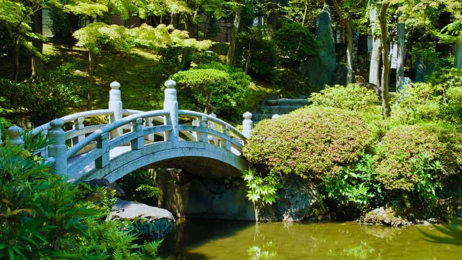 Geisha & Sumo Culture: Tokyo Walking Tour 3 Hrs - What We Loved About This Tour