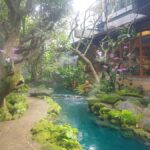 Gems of Chiangmai: Dantewada, Wat Ban den, Sticky Waterfall - What Makes This Tour Special?