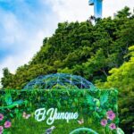 General Entrance Science Park - Practical Details and Tips