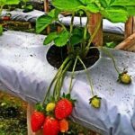 Genting Highland Day Tour - What’s Included and What’s Not