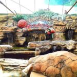 Genting Highland Day Tour From Kuala Lumpur Include 2-way Cable Car Ride & Lunch - Exploring Gown of Greenery and Farming