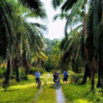 George Town, Penang: Malay Countryside Cycling - The Highlights of the Route