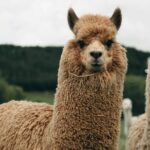 Geothermal & Nature Full Day Private Tour : Rotorua & Taupo - Value for Money