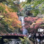 Get to know Minoo from Osaka. Katsuoji Temple, Ryuanji Waterfall and Ryuanji Temple - Practical Details and Tips