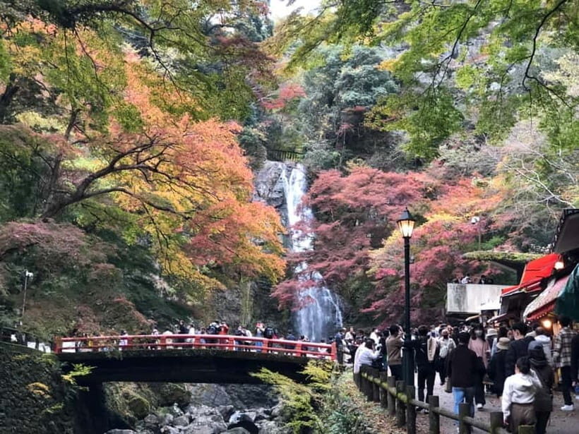 Get to know Minoo from Osaka. Katsuoji Temple, Ryuanji Waterfall and Ryuanji Temple - Practical Details and Tips