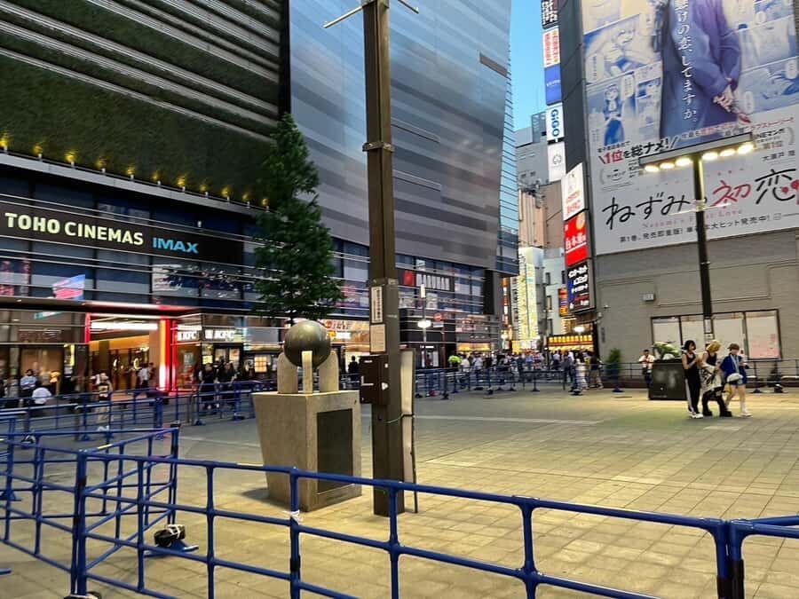 Get to know Shinjuku (nightlife optional) - What Makes This Tour Stand Out