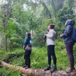 Gibbon Conservation and Cultural 2-Days Adventure - Who This Tour is Best For