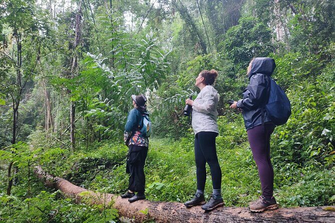 Gibbon Conservation and Cultural 2-Days Adventure - Who This Tour is Best For