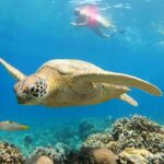Gili Air : PRAIVATE & SHARING Snorkeling Tour+Gopro Shooting - Itinerary Breakdown: What to Expect