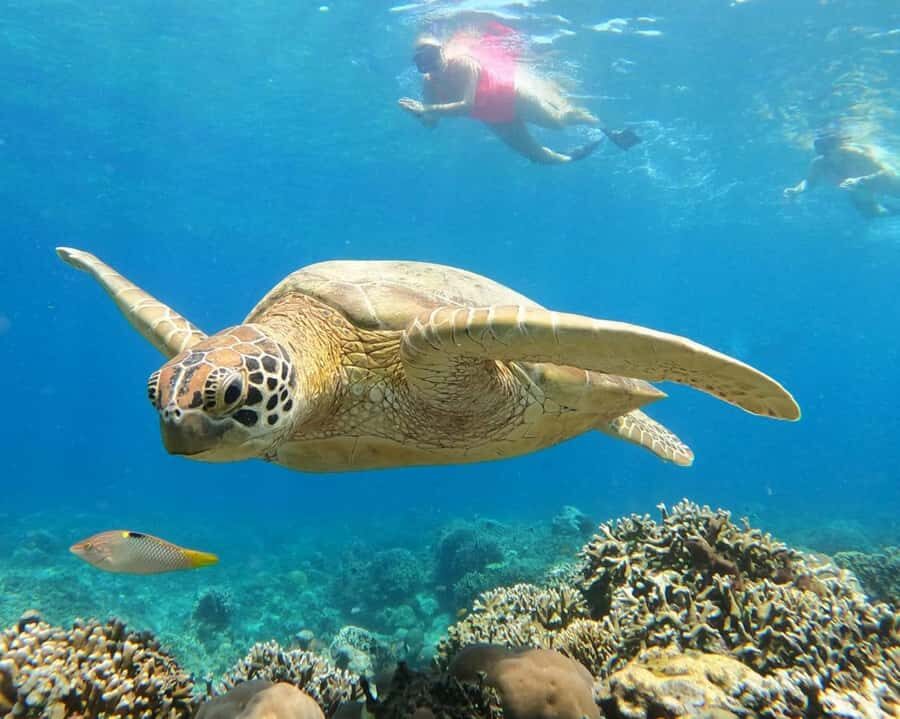 Gili Air : PRAIVATE & SHARING Snorkeling Tour+Gopro Shooting - Itinerary Breakdown: What to Expect