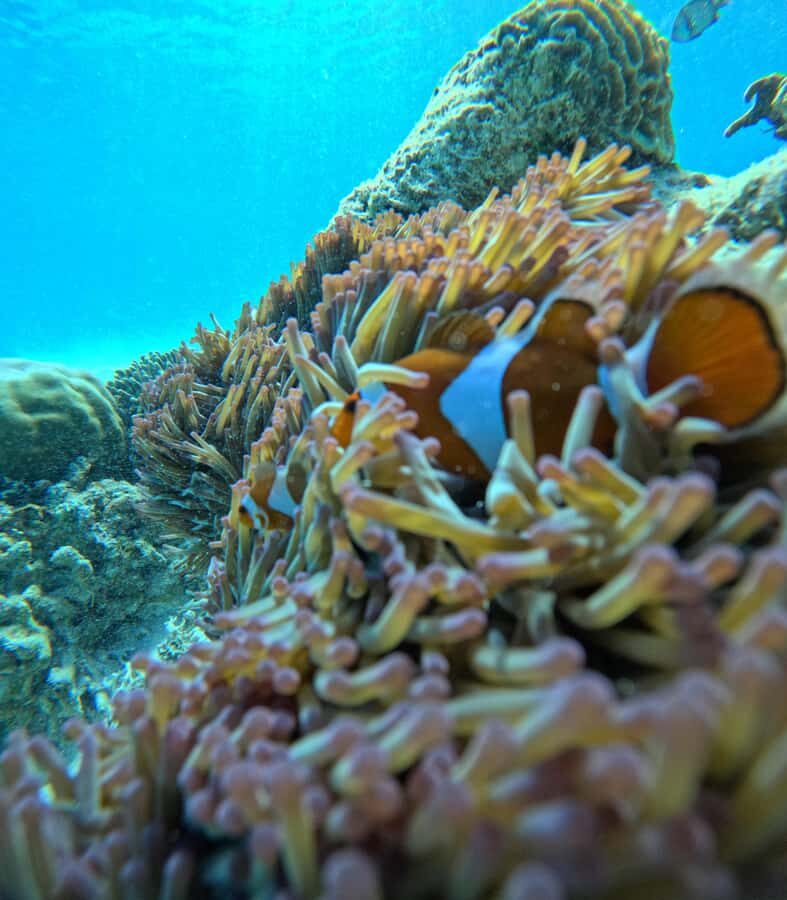 Gili Air: Private 3-Hour Snorkeling Tour with Photo Shoot - The Snorkeling Spots & Itinerary Breakdown