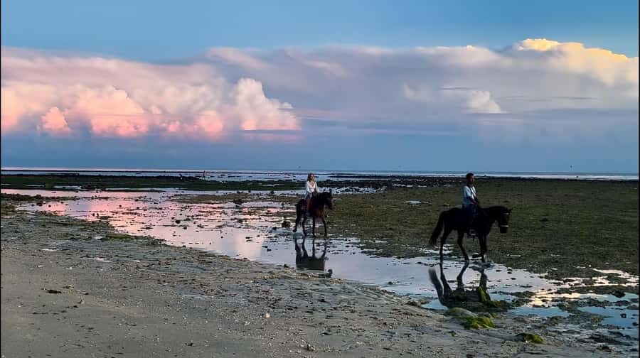 Gili Air: Private Sunrise or Sunset Horse Riding Tour - What Makes This Tour Special?