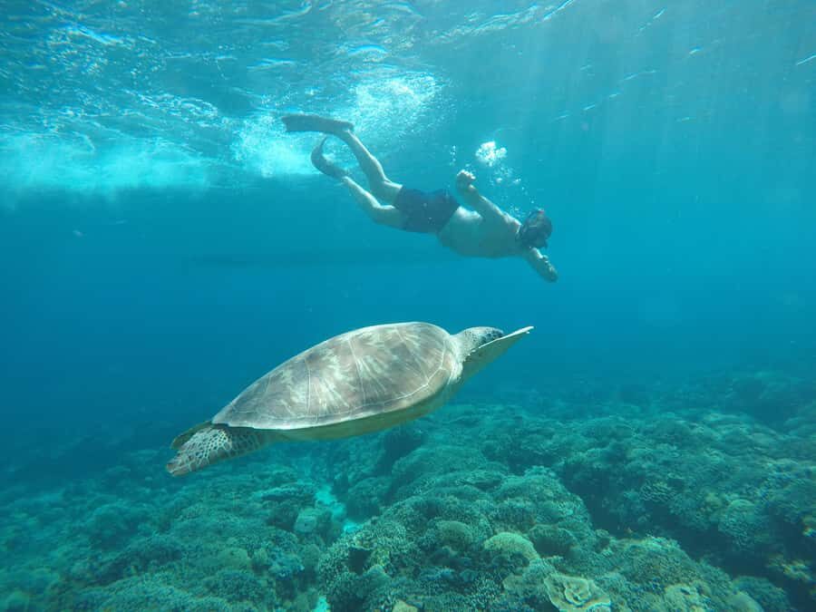 Gili Air Share Snorkeling Tour With GOPRO Documentation - Practical Details and Tips for Your Trip