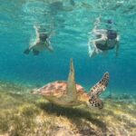 Gili Island Snorkeling Adventure Turtles Statues and Coral Garden - What the Tour Offers: A Balanced Look