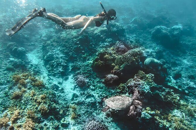 Gili Islands: Snorkeling Tour with Turtles and Statues - An In-Depth Look at the Snorkeling Tour