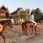 Gili Meno: 1-Hour Beginner Horse Riding Experience - What You Can Expect from the Gili Meno Horse Riding Tour