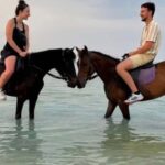 Gili Meno: 1-Hour Beginner Horse Riding Experience - Practical Details to Keep in Mind