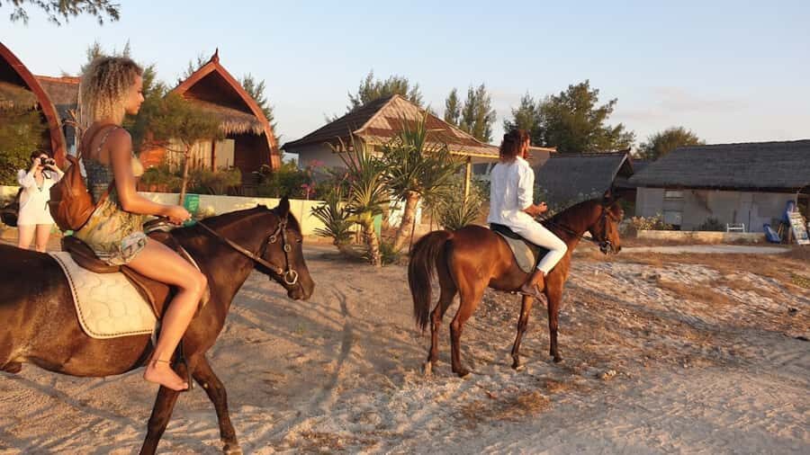 Gili Meno: 1-Hour Beginner Horse Riding Experience - What You Can Expect from the Gili Meno Horse Riding Tour