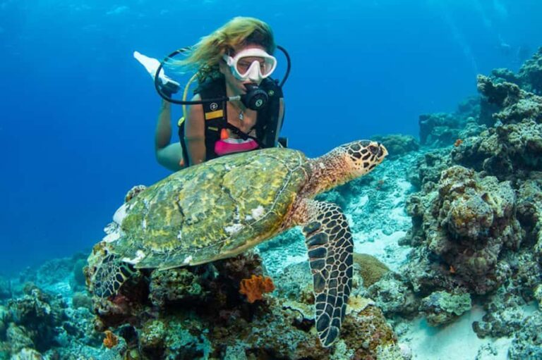 Gili Meno: Discover Scuba Diving for the first time - Final Thoughts