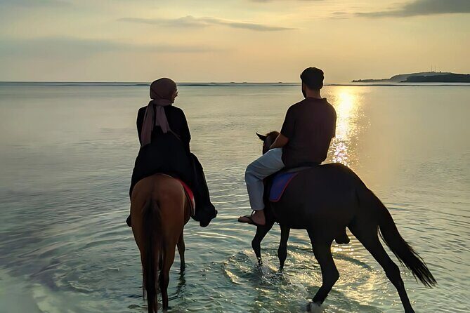 Gili Meno Horse Riding Adventure on the Beach for 1 Hour - Practical Tips for Your Horse Riding Adventure