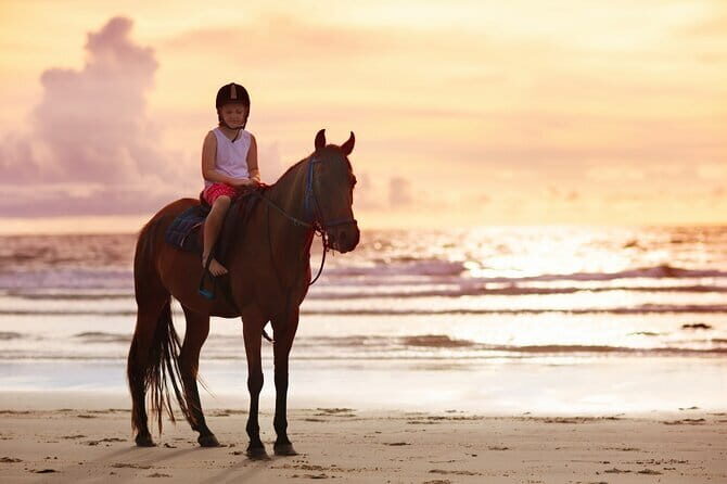 Gili Trawangan Beach Horseback Riding with Pickup Hotel - What Do Travelers Say? Insights from Reviews  
