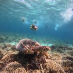 Gili Trawangan Best Snorkeling Trip With GOPRO documentation - The Experience: What Makes It Special
