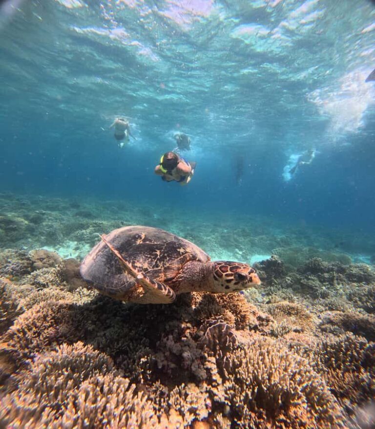 Gili Trawangan Best Snorkeling Trip With GOPRO documentation - The Experience: What Makes It Special