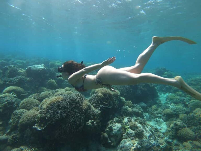 Gili Trawangan: Private Snorkeling (Coral, Statues, Turtles) - Itinerary Breakdown: What Will You Experience?