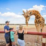 Giraffe Safari & a Day at Monarto Safari Park - What to Expect at Monarto Safari Park Giraffe Safari