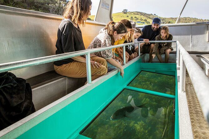 Glass Bottom Boat Tour - FAQ