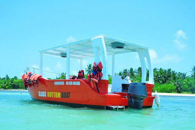 Glass-bottom boat tour to Punta Cana - Final Thoughts: Who Will Love This Tour?