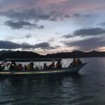 Glow-in-the-Dark Mangrove Adventure  Night Safari Plus Dinner - The Wildlife Close-Up: Rare Creatures Revealed