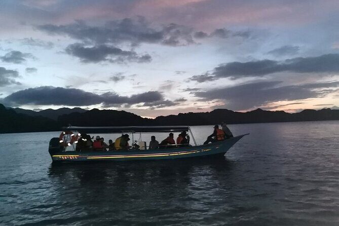 Glow-in-the-Dark Mangrove Adventure  Night Safari Plus Dinner - The Wildlife Close-Up: Rare Creatures Revealed