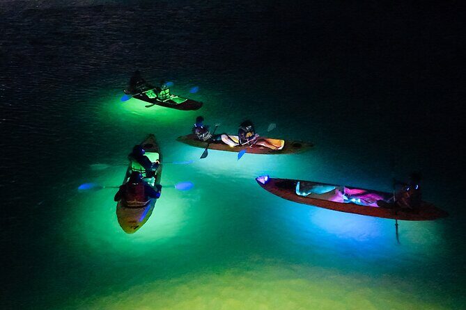 Glow Through the Night with LED Kayak Adventure in Aruba - Inclusions and Practical Details