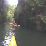 Glowworm Kayak Adventure on the Waikato River - The Practicalities: What to Expect